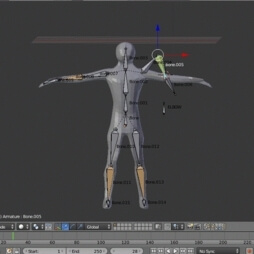 Rigging and Skinning